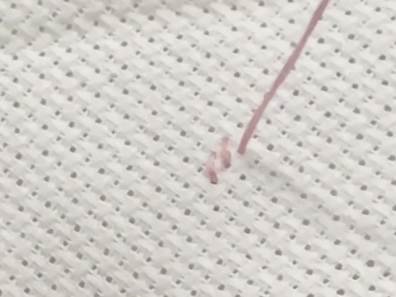 metodos punto de cruz cross stitch method